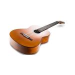 Guitarra Acústica Yamaha C40 + Estuche