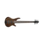 Bajo Electrico Ibañez 6 Cuerdas Gsr-206b-wnf + Estuche